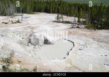 Spätfrühling im Yellowstone National Park: Schwefelkessel Muddy Pool entlang der Grand Loop Road Stockfoto