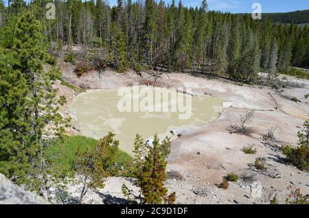 Spätfrühling im Yellowstone National Park: Turbulenter Pool neben dem Schwefelkessel entlang der Grand Loop Road Stockfoto