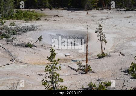 Spätfrühling im Yellowstone National Park: Schlammkrater MVNN008 direkt hinter dem Schwefelkessel entlang der Grand Loop Road Stockfoto