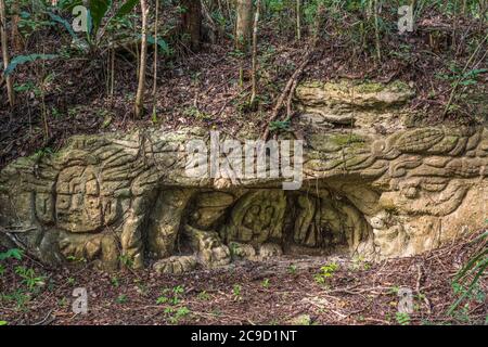 Sehr alte Steinschnitzereien in der Nähe der Ruinen der Maya-Stadt Muyil oder Chunyaxche im UNESCO-Weltbiosphärenreservat Sian Ka'an in Quintana Roo, Mexi Stockfoto