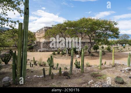 Kakteen hinter dem Palast, Gebäude 7, an den Ruinen der Zapotec-Stadt Mitla in Oaxaca, Mexiko. Ein UNESCO-Weltkulturerbe. Stockfoto