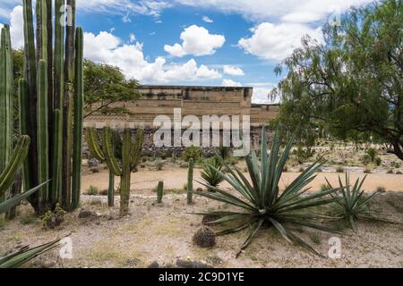 Kakteen und Agaven in den Ruinen der Zapoteken-Stadt Mitla in Oaxaca, Mexiko. Ein UNESCO-Weltkulturerbe. Der Palast, Gebäude 7, befindet sich im hinteren Teil Stockfoto