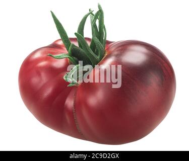 Blaue Schönheit Erbstück Tomate, anthocyan-reich, isoliert Stockfoto