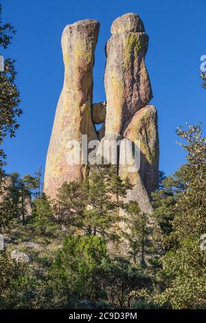 Felsformationen im Tal der Mönche, in der Nähe von Creel, Chihuahua Staat, Mexiko. Stockfoto