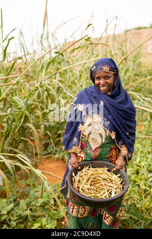 Eine afrikanische Kleinbäuerin lächelt, während sie in ihrem Hirse- und Kuhpfenfeld in der Region Tahoua, Niger, Westafrika, ein Becken voller frisch geernteter Kuherbsen hält. Stockfoto