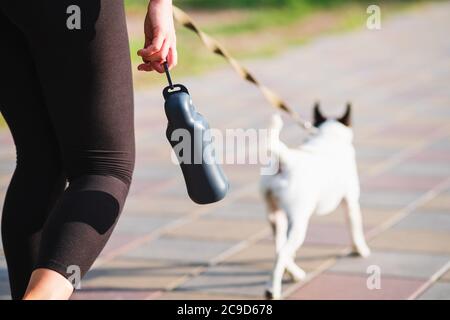 Aktiver Lebensstil mit Haustieren in der Stadt, Accessoires, Laufen mit Hunden. Trinkflasche in Frauenhand, Hund im Hintergrund Stockfoto