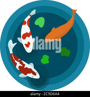 Koi Karpfen, Illustration, Vektor auf weißem Hintergrund Stock Vektor