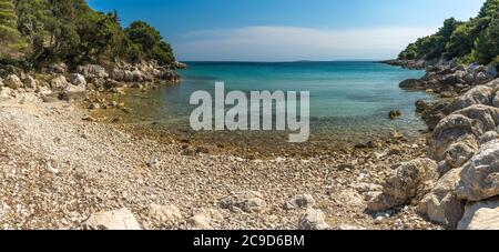 Leerer Strand Jelenovica in Insel Rab. Friedlicher Strand in Rab. Schöner Strand umgeben von Wald in Kroatien. Stockfoto