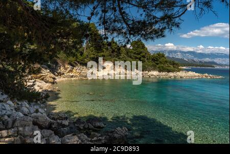 Schöner Strand umgeben von Nadelwald auf der Insel Rab, Kroatien. Transparentes Wasser an der Adriaküste. Insel Rab - touristisches Ziel. Stockfoto