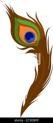 Pfauenfeder, Illustration, Vektor auf weißem Hintergrund Stock Vektor