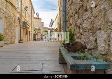 Leere Straße der Altstadt von Rab in Kroatien. Kroatische Flagge. Katze sitzt auf der Bank auf der leeren Straße der touristischen Stadt Rab. Stockfoto