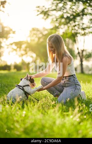 Seitenansicht des reinrassigen intelligenten Haustieres, das Pfote zu weiblicher Hundebesitzerin gibt, schöner Sommeruntergang auf Hintergrund. Junge lächelnde Frau Ausbildung französisch Bulldogge im Stadtpark, geben Leckereien. Konzept der Tierausbildung. Stockfoto