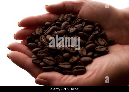 Frau Hand eine Handvoll Kaffeebohnen - Silhouette, isolieren Stockfoto