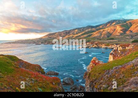 Farbenfrohe Vegetation entlang der kalifornischen Küste im Garrapata State Park im Sommer, Carmel, USA. Stockfoto