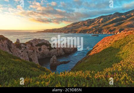 Farbenfrohe Vegetation entlang der kalifornischen Küste im Garrapata State Park im Sommer, Carmel, USA. Stockfoto