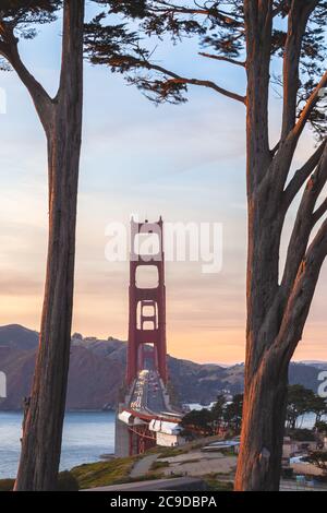 Die Golden Gate Bridge, gesehen durch die Zypressen, San Francisco, Kalifornien, USA, bei Sonnenuntergang. Stockfoto