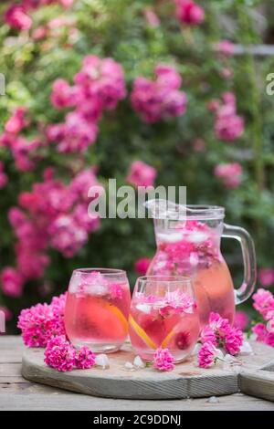 Frische Rosenlimonade oder Cokctail mit Eis und frischen Rosen über dem natürlichen Garten Stockfoto