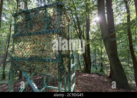 Hoher Sitz mit Tarnung im Laubwald Stockfoto