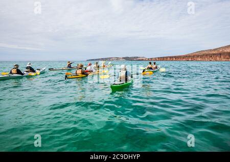 Eine geführte Seekajak-Tour vor der Küste von Isla Espirito Santo, Golf von Kalifornien, BCS, Mexiko. Stockfoto