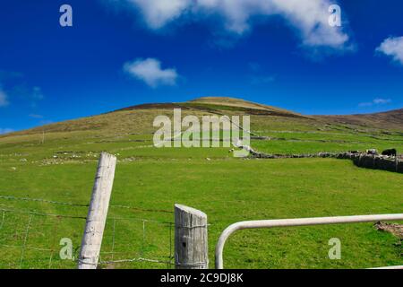 Co.Wicklow, Irland zeigt Felder mit Great Sugarloaf Mountains im Hintergrund Stockfoto