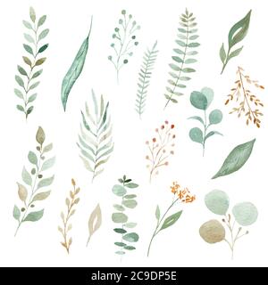 Aquarell Grün Blätter und Zweige gesetzt. Handgezeichnete Illustration isoliert auf weißem Hintergrund. Grafiken für Hochzeit Einladung, diy, Scrapbooking. Stockfoto