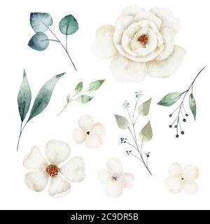 Aquarell weiße Blume und grüne Blätter gesetzt. Handbemalte Cliparts. Perfekt für Hochzeitseinladung, Scrapbooking, diy. Stockfoto