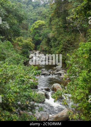 Flusslandschaft rund um die Sierra Nevada de Santa Marta in Kolumbien Stockfoto