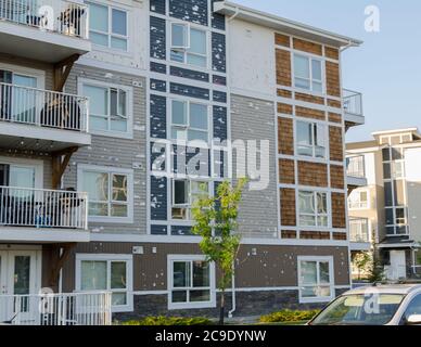 Viele werden die Versicherung auf ihre Eigentumswohnungen nach großen Hagelschäden in NE Calgary am 13. Juni 2020. Stockfoto