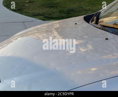 Viele Bewohner werden Einreichung Kfz-Versicherung Ansprüche nach einem extremen Hagelereignis im Nordosten Calgary am 13. Juni 2020. Stockfoto