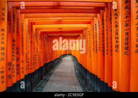 Kyoto, Japan - April 9,2017 : Tausende von roten Torii Tore entlang Gehweg in fushimi inari taisha Tempel ist wichtig schintoistischen Schrein und befindet sich in Kyot Stockfoto