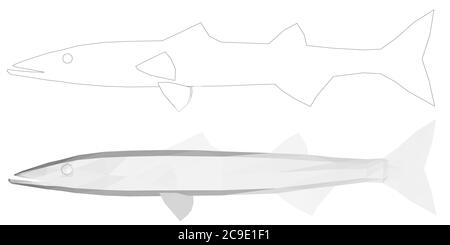 Set mit Fisch. Low-Poly-Fisch und seine Umrisse. Seitenansicht. Vektorgrafik. Stock Vektor