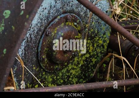 Alte verlassene antike verrostete landwirtschaftliche Ausrüstung in einem Feld mit Moos bedeckt links. Ein Überbleibsel vergangener Zeiten und des Lebens vor moderner Technik. Stockfoto