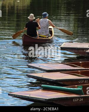Cambridge, Großbritannien. Juli 2020. Ein Paar paddelt an einem warmen Sommertag an einigen Schlägen vorbei. Die Menschen entspannen sich während des warmen Sommerwetters, da die Temperatur in England voraussichtlich bis zum Wochenende 30 Grad Celsius erreichen wird. Kredit: SOPA Images Limited/Alamy Live Nachrichten Stockfoto