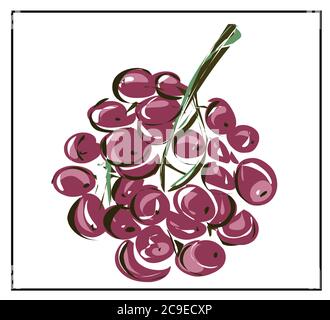 Trauben EIN Traubenbündel isoliert auf weißem Hintergrund. Sie können sich bewegen, schneiden. Stock Vektor