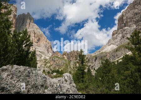Sommerlandschaft der Vajolet Hütte, Rosengarten Gebirge, Dolomiten, Südtirol, Italien Stockfoto