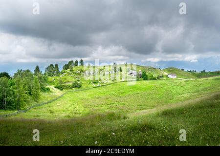 Botanischer Garten der Ostalpen an einem stürmischen Tag von der Sonne beleuchtet. Nevegal, Belluno, Italien Stockfoto