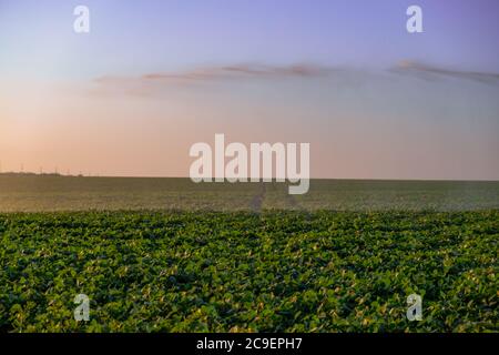 Center Pivot Ernte Bewässerung oder Bewässerungssystem für Farm Management Stockfoto