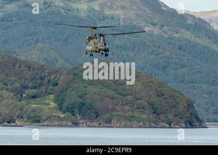 Chinook fliegt die Mawddach Mündung hinunter Stockfoto