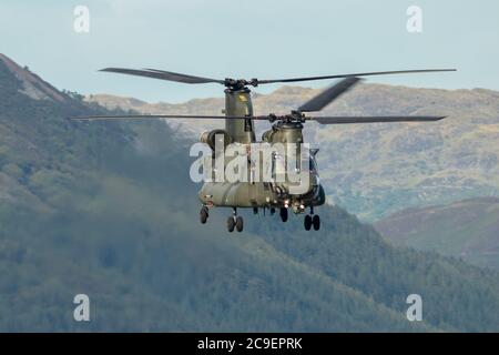 Chinook fliegt die Mawddach Mündung hinunter Stockfoto