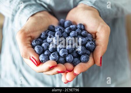 Nahaufnahme der weiblichen Hände, die eine Gruppe frischer Blaubeeren halten. Stockfoto