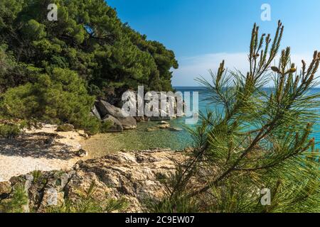 Schöner Strand umgeben von Nadelwäldern auf der Insel Rab in der Nähe von Uvala Cifnata, Kroatien. Transparentes Wasser an der Adriaküste. Insel Rab - touri Stockfoto