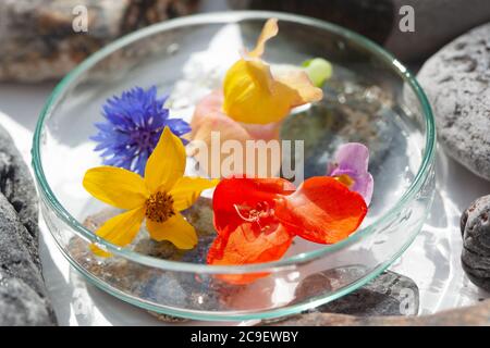 Natürliche Botanik / Elemente / Kunst / Kreative Botanik / Gesundheitskonzept - Wildblumen unter Glas, Mineralien, Steine Anordnung . Stockfoto