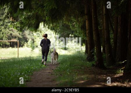 Eine junge Brünette Mädchen geht in den Sport, läuft im Wald mit einem grauen Hund ​​of die Husky Rasse Stockfoto