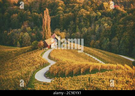 Berühmte herzförmige Weinstraße in Slowenien, Ansicht von Spicnik in der Nähe von Maribor. Natürliche Landschaft landwirtschaftlichen Hintergrund. Stockfoto