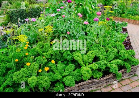 Reich bepflanzte englische Küche Garten - John Gollop Stockfoto