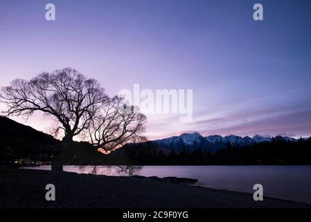 Winterweide am Wakatipu See bei Sonnenaufgang mit den Remarkables in der Ferne Stockfoto