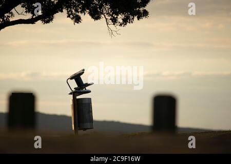 Eine Gartenschlauchrolle, die auf einen Abfalleimer geworfen wurde, Foto eingerahmt von Pohutukawa-Ästen und Blättern. Stockfoto