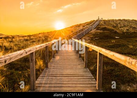 Insel Sylt Sonnenaufgangslandschaft mit Holztreppen die Sanddüne erklimmen. Holzdeck über den mit Moos bedeckten Dünen. Natürliche Parklandschaft in der Nordsee o Stockfoto