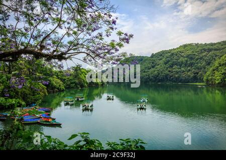 Bunte Boote an der Grenze des Phewa Sees bei Pokhara, Nepal. Stockfoto