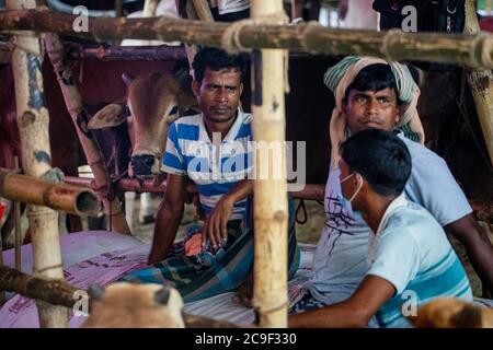 Der Qurbani Meat Market verkauft Oxens vor dem Eid-al-Adha in Dhaka, Bangladesch. Der Eid-al-Adha fällt am 1. August 2020. Der COVID 19 hat den normalerweise hektischen Markt stark gebändet, und viele Tiere werden jetzt online gehandelt, um die soziale Distanzierung zu erleichtern. Stockfoto